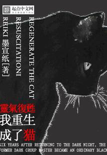 慕雨人生