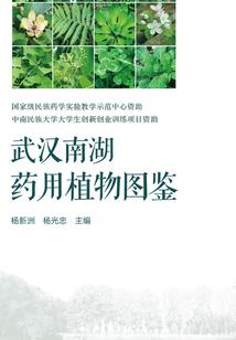 驾驭鬼道