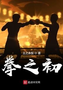 弗毕艾的职业生涯