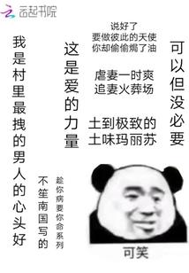我的世界只有小无忧了