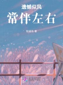 神偷转职记