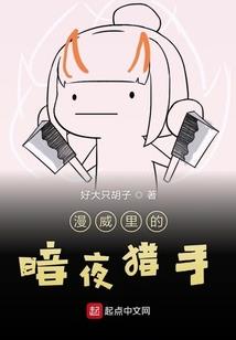 我满级了才开服