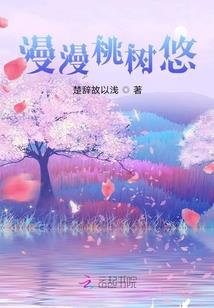 重生之完美选择