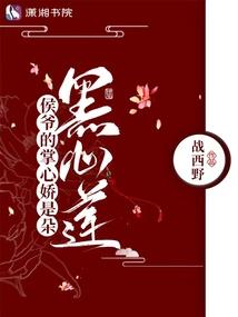 红玛瑙天书