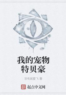 寡妾