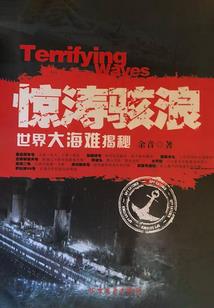 妃不祸国
