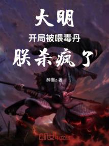 叶舞九天
