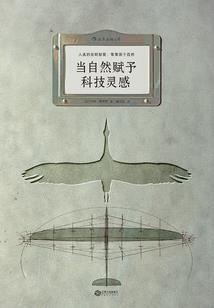 丛林行动