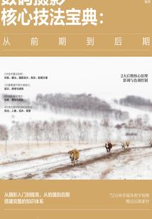 盛世热恋：楚爷飒爆了