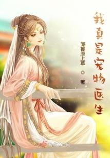 网文写手，朝九晚五