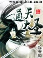 大三国小乞丐